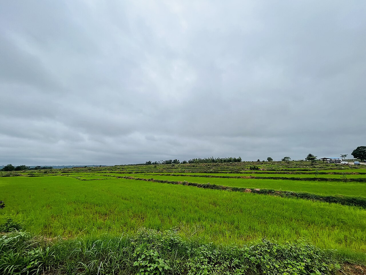 paysage de Mandwa à Jagdalpur, étape du jour 10