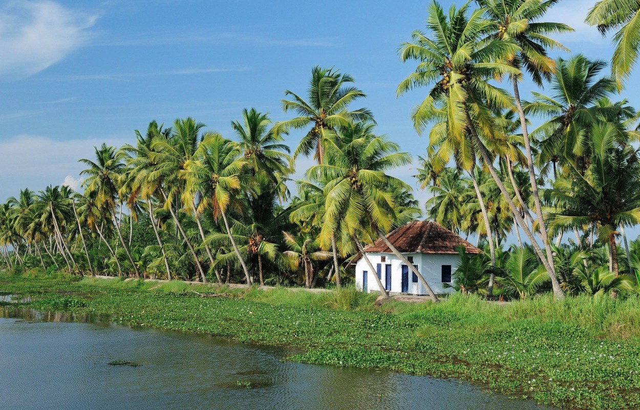 Maison traditionnelle et cocotiers au bord des Backwaters du Kerala